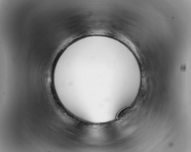X0000103270059200809191752