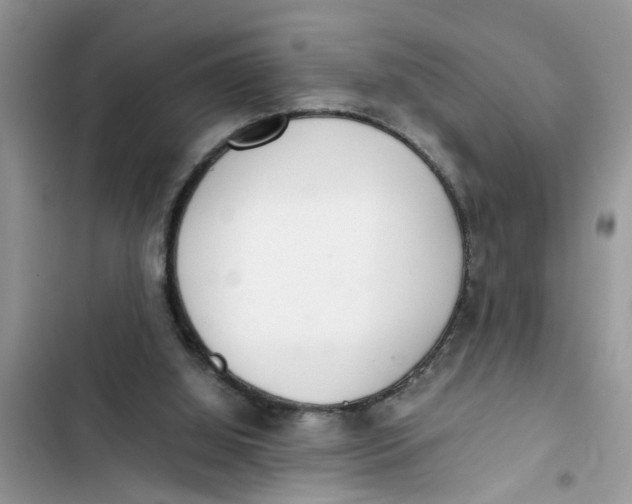 X0000103270060200809191752