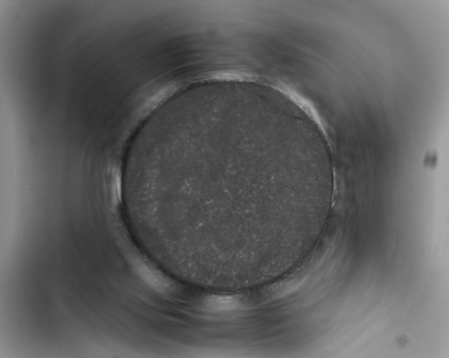 X0000103270061200809191752