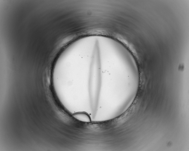 X0000103270062200809191752