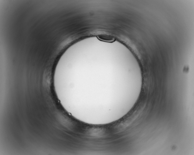 X0000103270063200809191752
