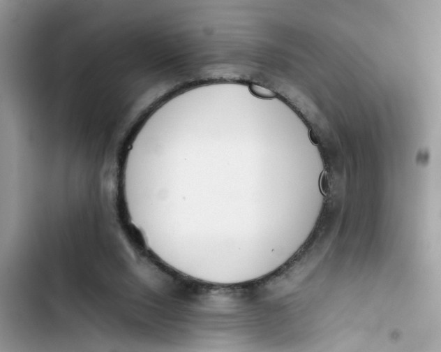 X0000103270064200809191752