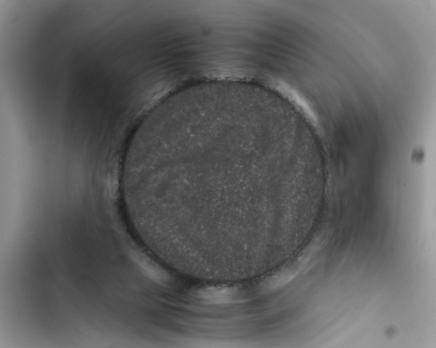 X0000103270065200809191752