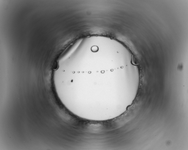 X0000103270066200809191752