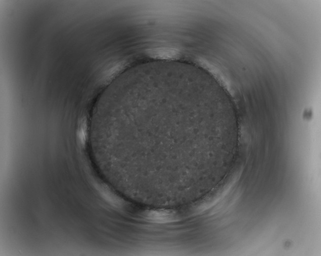 X0000103270069200809191752