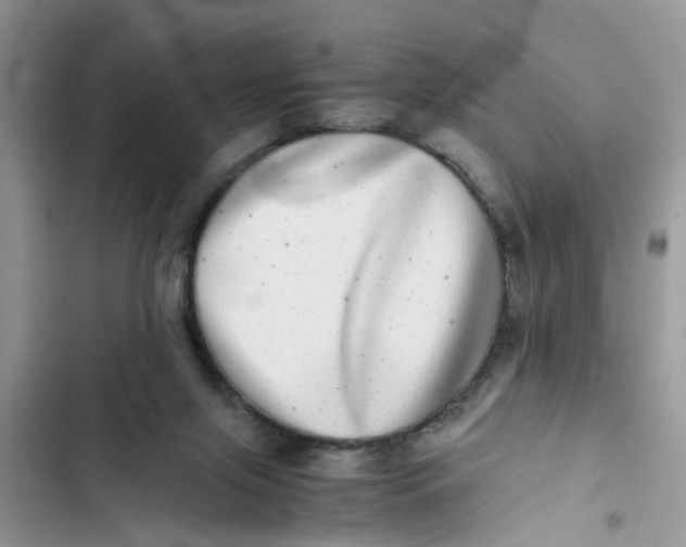 X0000103270071200809191752