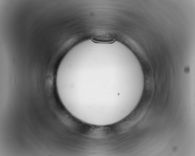 X0000103270072200809191752