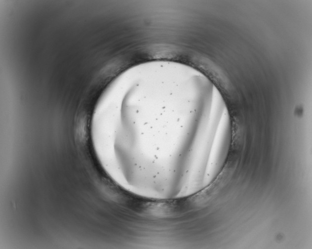 X0000103270074200809191752