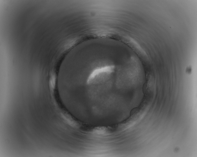 X0000103270076200809191752