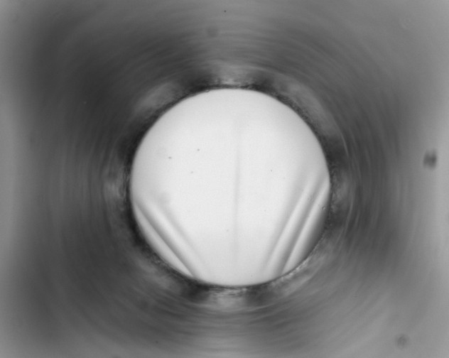 X0000103270078200809191752