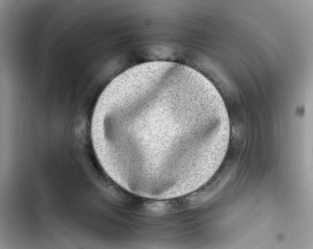 X0000103270079200809191752