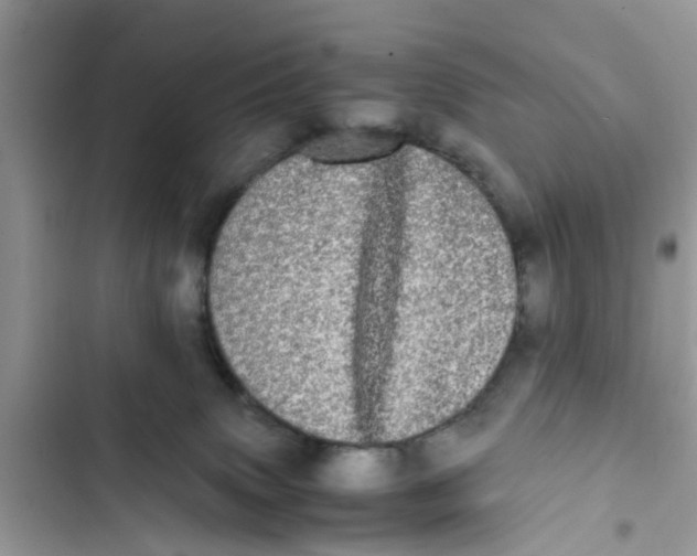 X0000103270083200809191752
