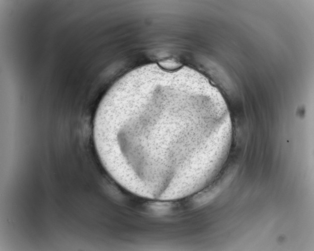 X0000103270085200809191752