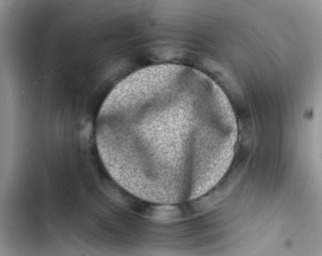 X0000103270087200809191752
