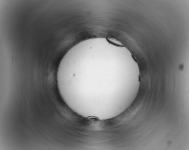 X0000103270088200809191752