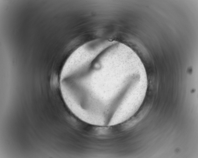 X0000103270089200809191752