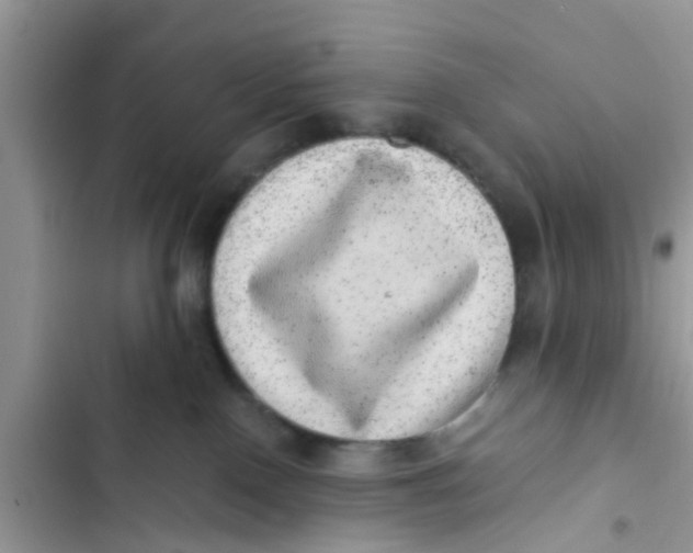 X0000103270090200809191752