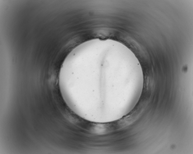 X0000103270091200809191752