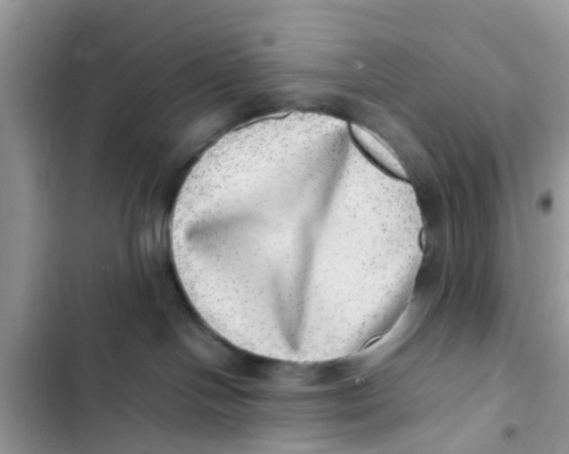X0000103270094200809191752