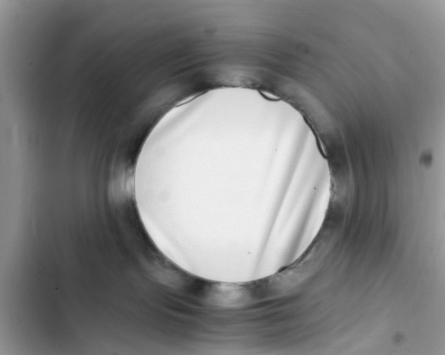 X0000103270095200809191752