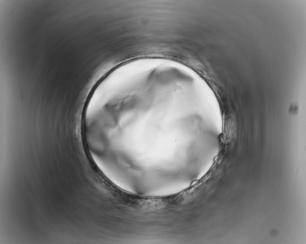 X0000103270099200809191752