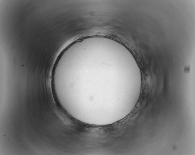 X0000103270100200809191752