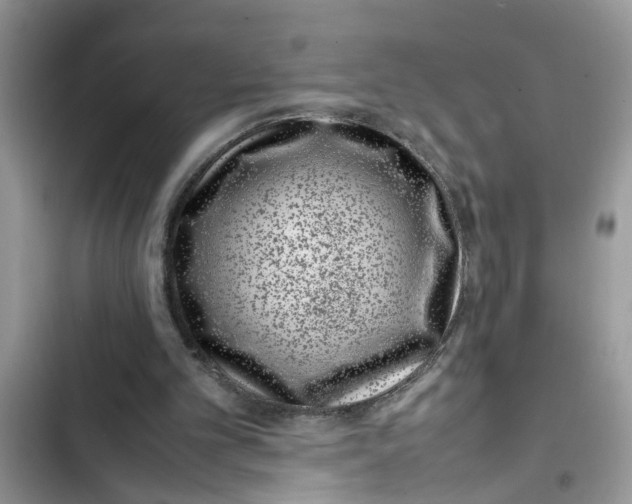 X0000103270101200809191752
