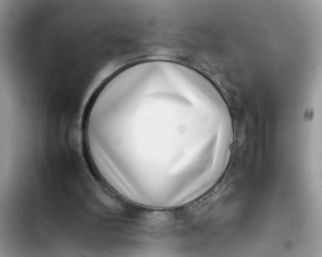X0000103270102200809191752