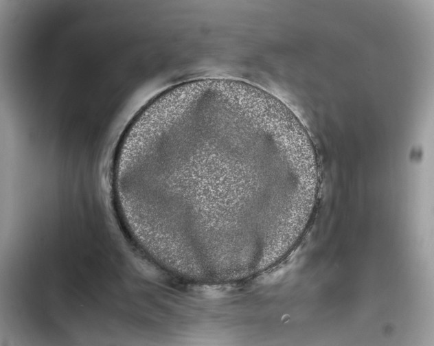 X0000103270103200809191752