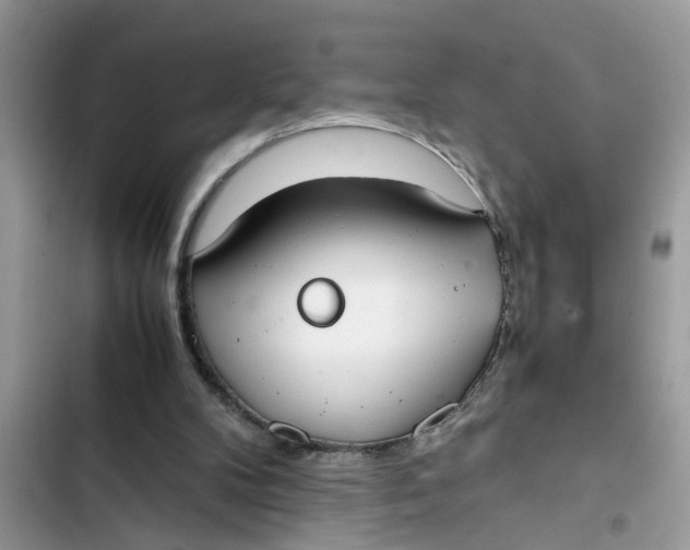 X0000103270104200809191752
