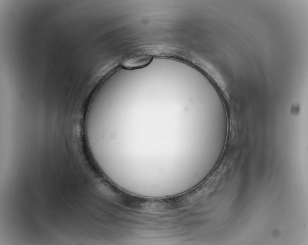 X0000103270105200809191752