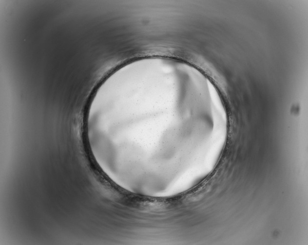 X0000103270107200809191752