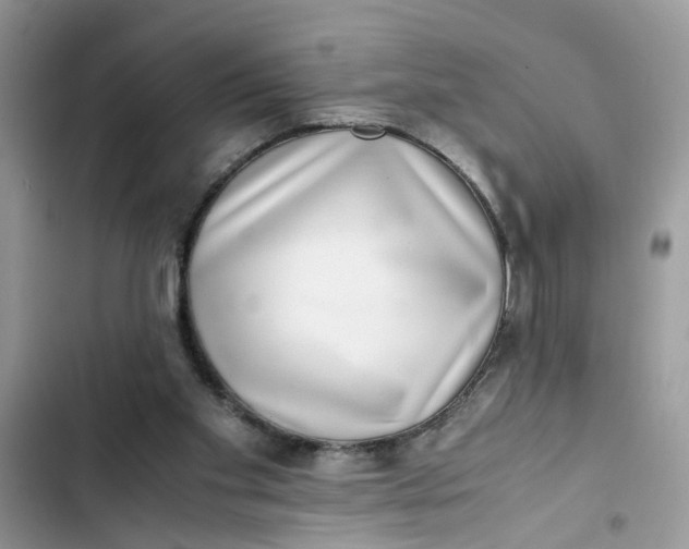X0000103270109200809191752