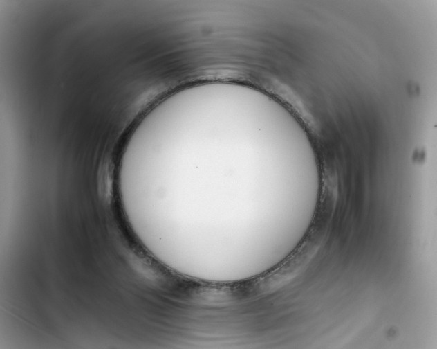 X0000103270110200809191752