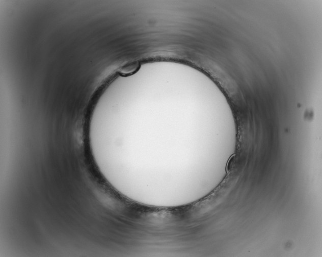 X0000103270112200809191752