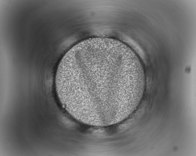 X0000103270113200809191752
