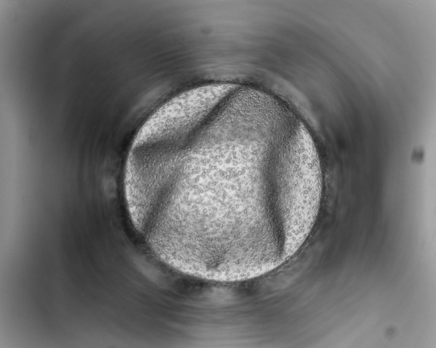 X0000103270114200809191752