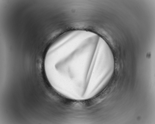 X0000103270115200809191752
