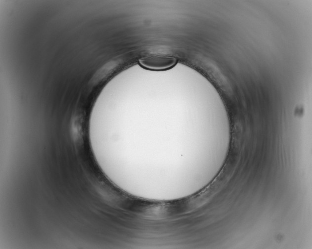 X0000103270116200809191751