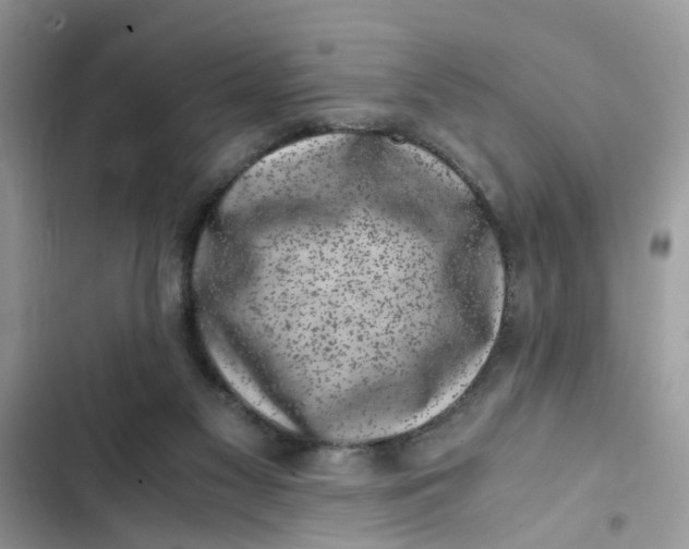 X0000103270117200809191751