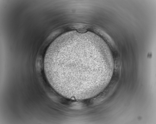 X0000103270119200809191751