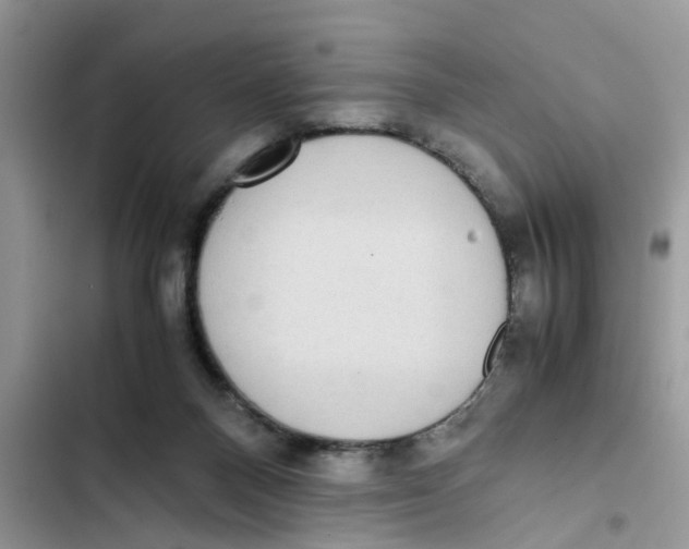 X0000103270120200809191751