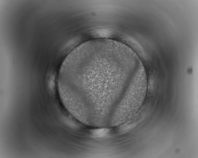 X0000103270122200809191751