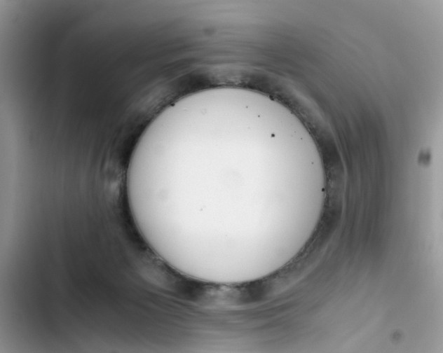X0000103270125200809191751