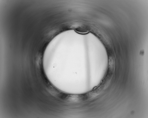 X0000103270127200809191751