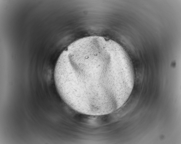 X0000103270130200809191751
