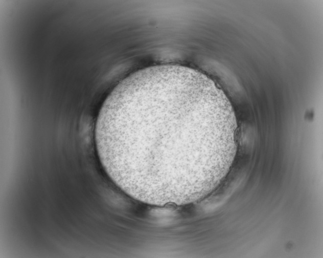 X0000103270133200809191751