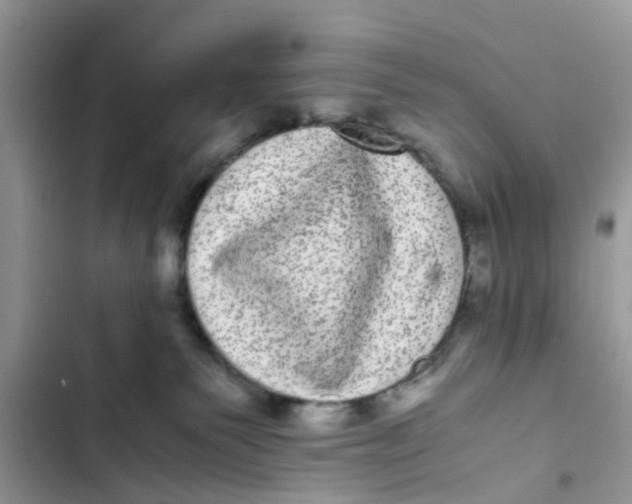 X0000103270135200809191751