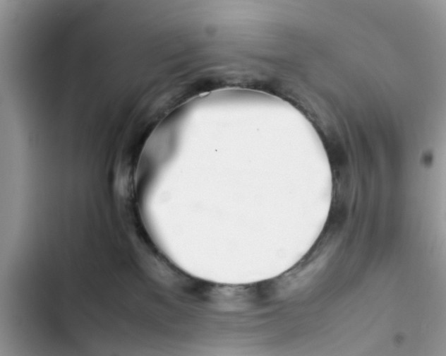 X0000103270137200809191751