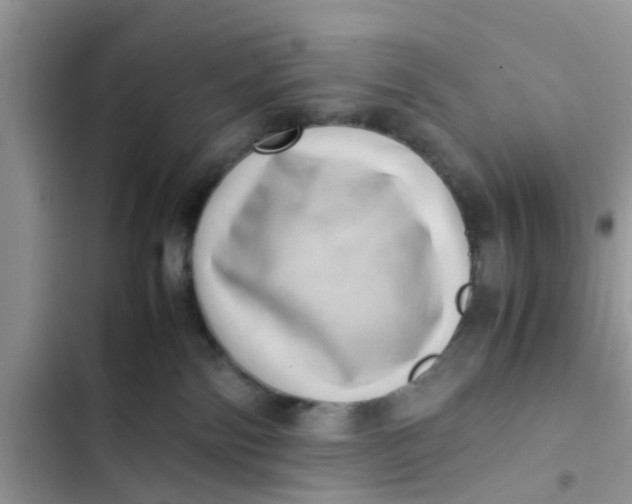 X0000103270138200809191751